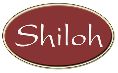 Smith Marketing - Shiloh - Logo